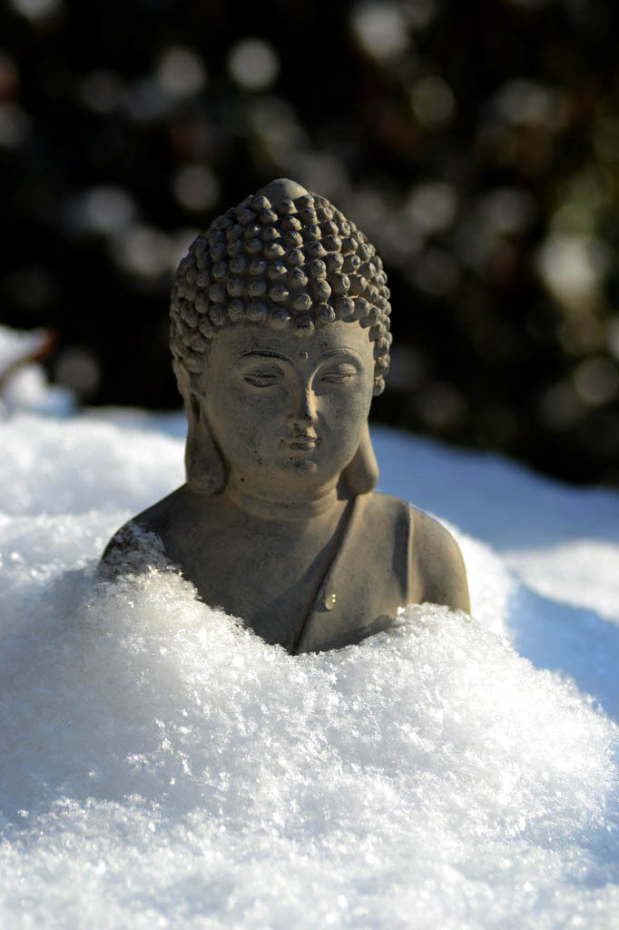 Buddha in de sneeuw